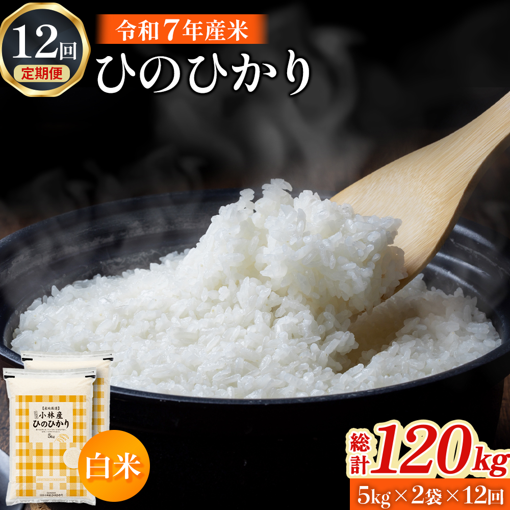 【令和7年産米】ヒノヒカリ 10kg×12回 お米 米 令和7年産 ヒノヒカリ 国産 定期便 人気 お弁当 おにぎり 宮崎県 小林市