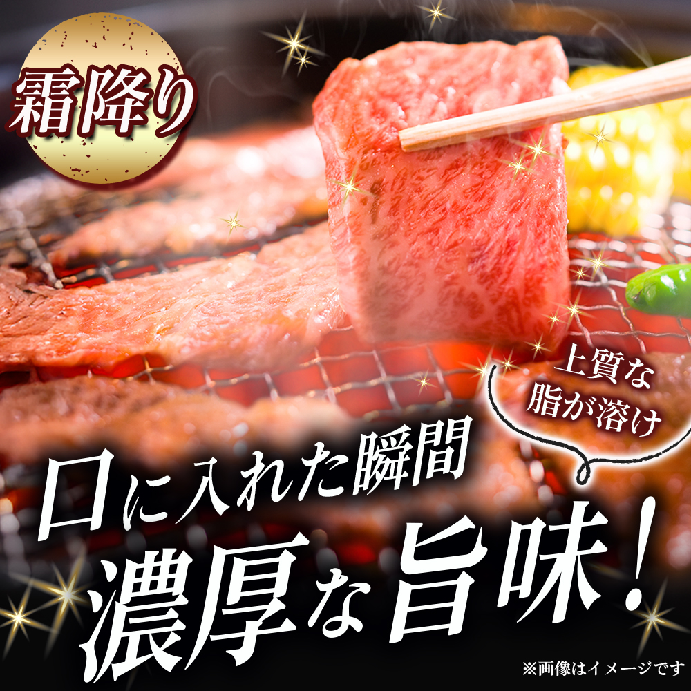 【A5等級】宮崎牛 特選焼肉セット 計800g（赤身・霜降り） 宮崎牛 ブランド牛 和牛 牛肉 焼肉 特選和牛 霜降り A5 宮崎県 小林市