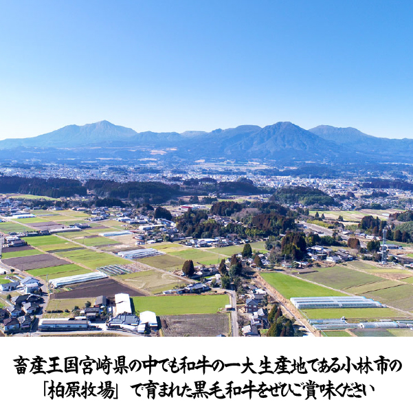 【自社農場和牛】メス指定黒毛和牛サガリ　300g（国産 黒毛和牛 牛肉 焼肉 BBQ 冷凍 送料無料）