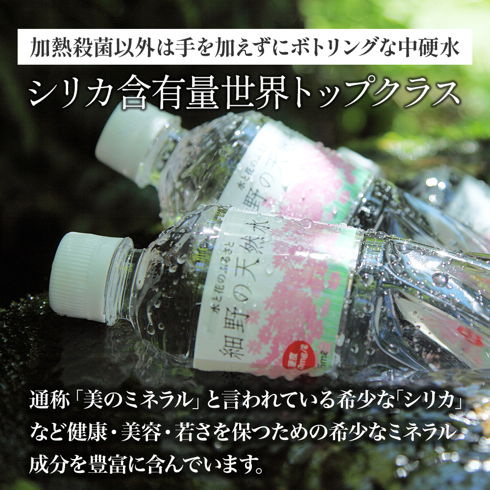 【シリカたっぷり】細野の天然水 555ml×24本 2箱（ミネラルウォーター 天然水 水 中硬水 シリカ ミネラル 美容 健康 人気 宮崎県 小林市）