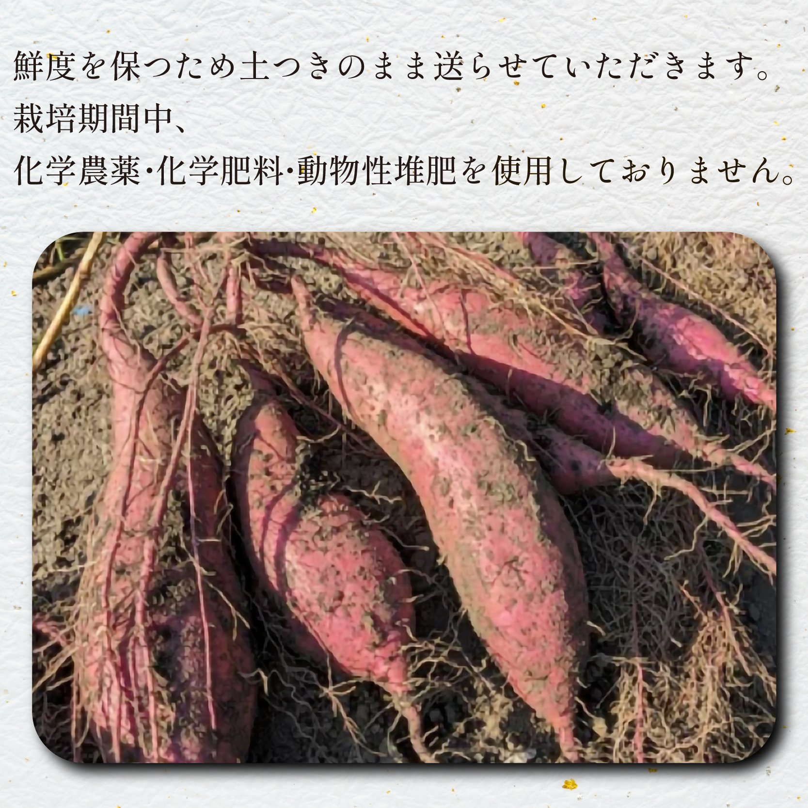 【産地直送】小林市産さつまいも「紅はるか」4kg（さつまいも サツマイモ 芋 野菜 宮崎県）