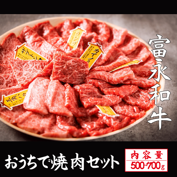 【自社農場和牛】富永和牛おうちで焼肉セット（国産 牛肉 和牛 赤身 霜降り 焼肉 BBQ 限定）