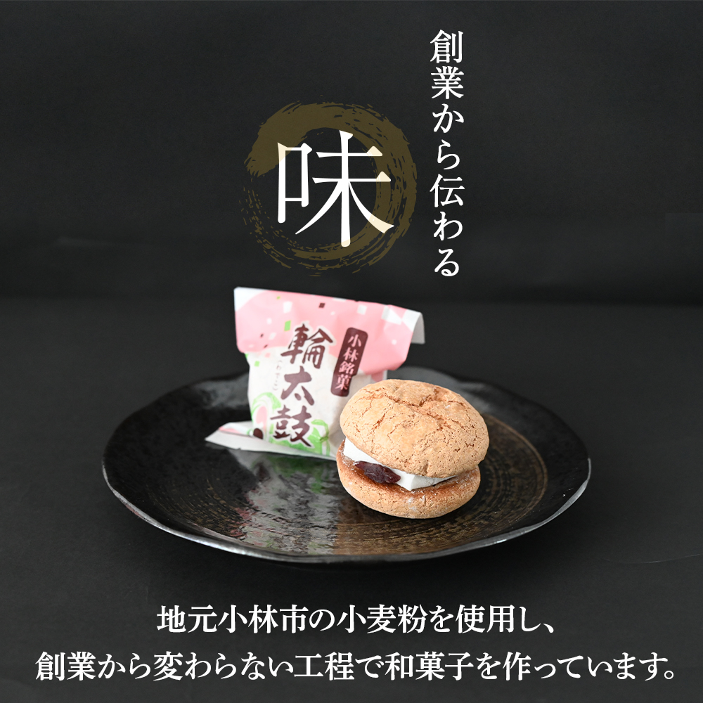 【地元銘菓】輪太鼓（わでこ） 10個入 （輪太鼓 わでこ 老舗 ブッセ お餅 餅 餡子 銘菓 お菓子 宮崎 小林市）