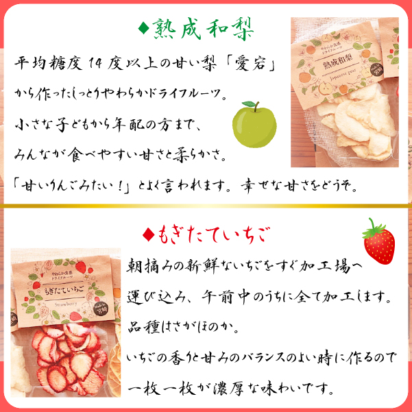 【旬の果物100％】果物好きのためのドライフルーツ おためし4種セット