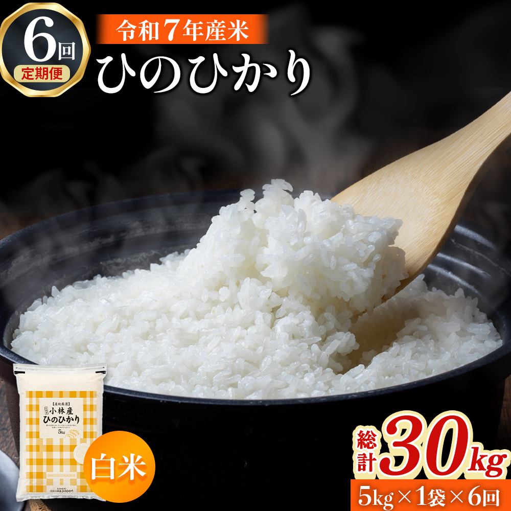 【令和7年産米】ヒノヒカリ 5kg×6回 お米 米 ヒノヒカリ ひのひかり 定期便 国産 人気 お弁当 おにぎり 宮崎県 小林市