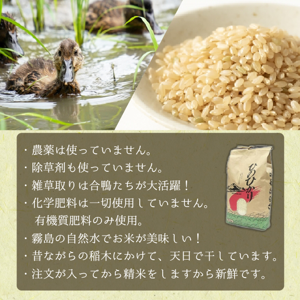 【安心安全！合鴨農法】あいがも米（玄米ヒノヒカリ）　5kg（新米 米 お米 玄米 ヒノヒカリ 合鴨農法 無農薬）