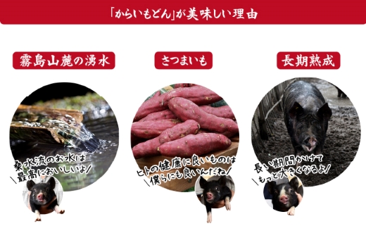 【牧場直送の新鮮黒豚】桑水流黒豚からいもどん厚切り肩ロースステーキ 1.2kg（豚肉 黒豚 豚 肉 お肉 ステーキ 肩ロース）