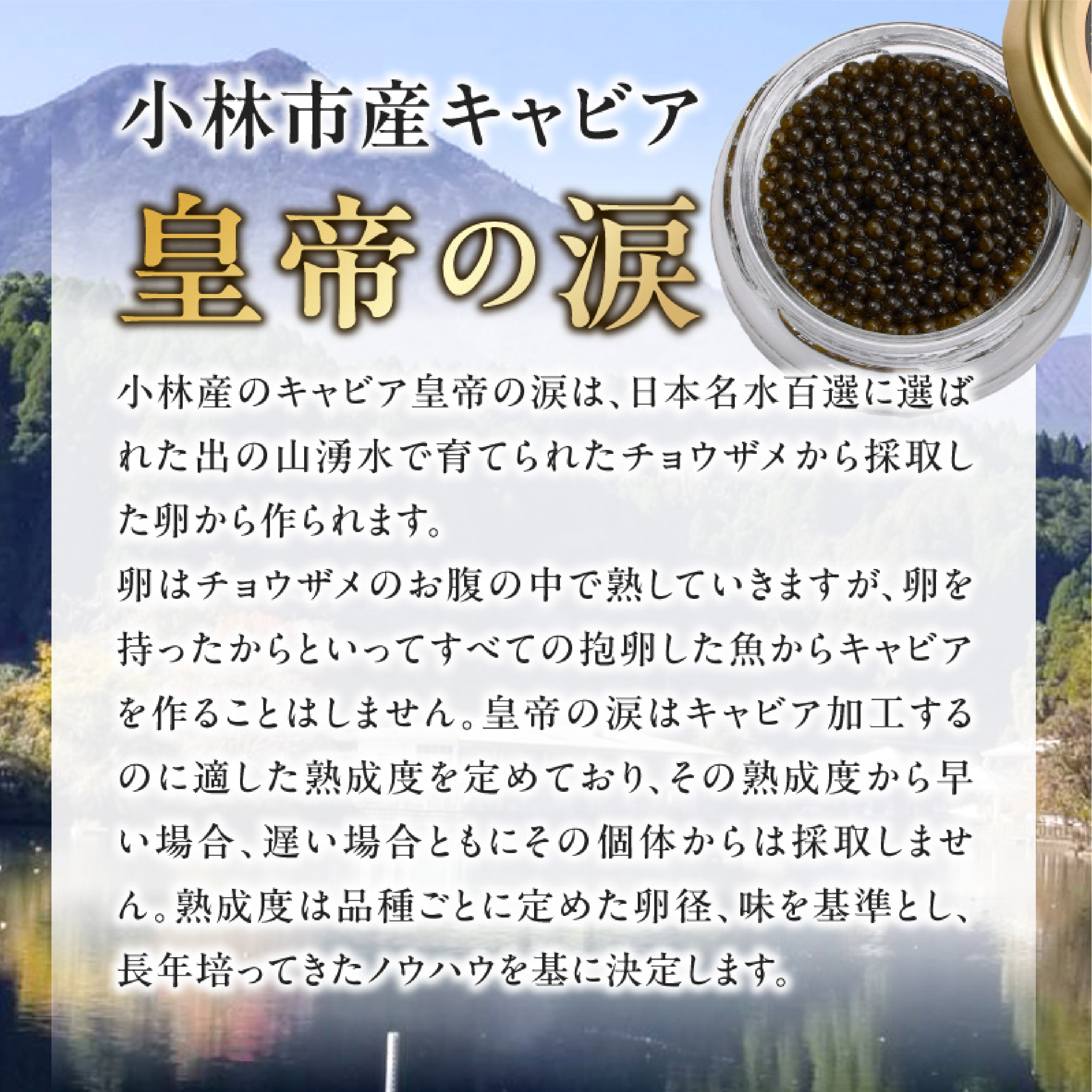 【純国産キャビア】皇帝の涙 2種食べ比べセット 40g（ロイヤルシベリアンキャビア・オシェトラキャビア） 国産 キャビア チョウザメ 宮崎 小林市 食べ比べ