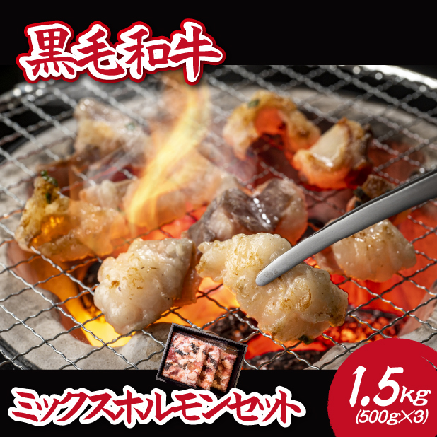 【自社農場和牛】黒毛和牛ミックスホルモン 1.5㎏（国産 黒毛和牛 牛肉 お肉 肉 ホルモン 焼肉 BBQ もつ鍋 鍋 冷凍）