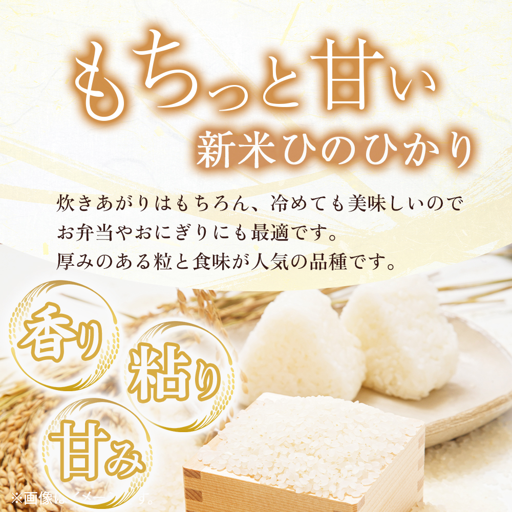 【令和7年産米】ヒノヒカリ 10kg×12回 お米 米 令和7年産 ヒノヒカリ 国産 定期便 人気 お弁当 おにぎり 宮崎県 小林市