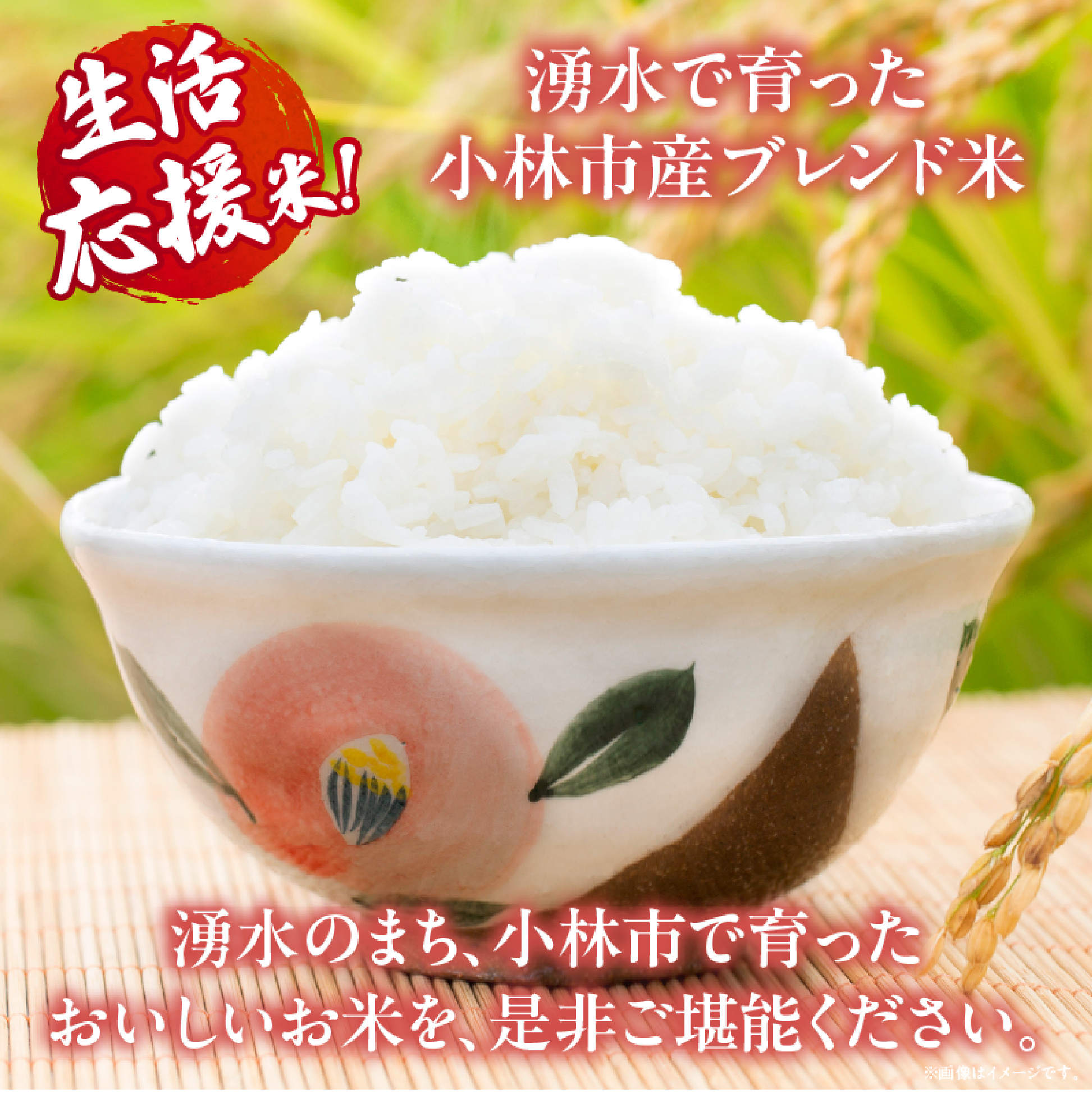 【生活応援米】湧水で育った小林市産ブレンド米 15kg（5kg×3袋 お米 米 ブレンド米 白米 精米 家庭用）