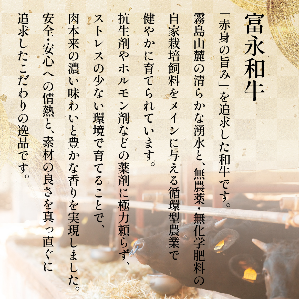 【自社農場和牛】黒毛和牛 牛スジ肉 1.5kg（黒毛和牛 牛肉 牛スジ スジ肉 牛すじ 牛スジ肉 冷凍 小分け）