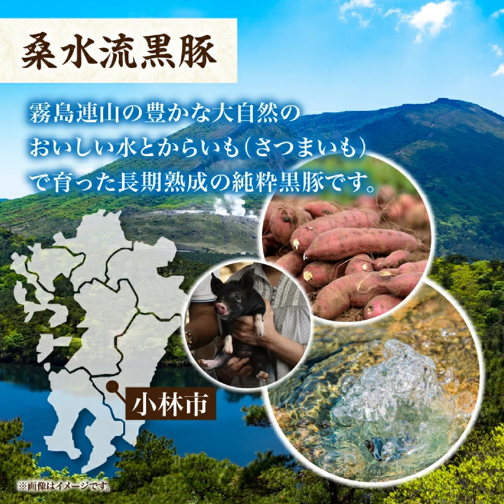 【牧場直送の新鮮黒豚】桑水流黒豚からいもどん特選セット 計1.84kg（豚肉 黒豚 豚 肉 お肉 詰め合わせ 豚バラ ロース ソーセージ セット 炭火焼き ステーキ）