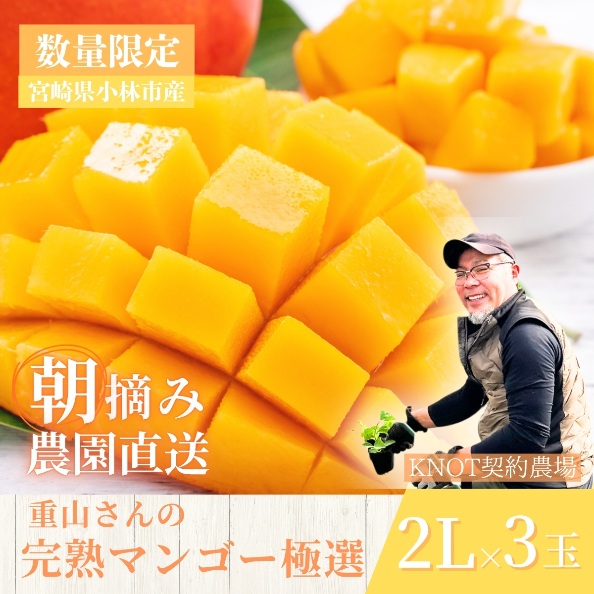【2026年発送 先行予約】生産農家応援・濃厚果肉 みやざき完熟マンゴー極撰 2L×3玉（マンゴー フルーツ アップルマンゴー 果物 くだもの 2026 先行受付 宮崎）