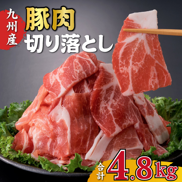 九州産豚肉切り落とし 4.8kg（300g×16P 国産 豚肉 切り落とし 人気 大容量 真空パック 簡易包装 冷凍）