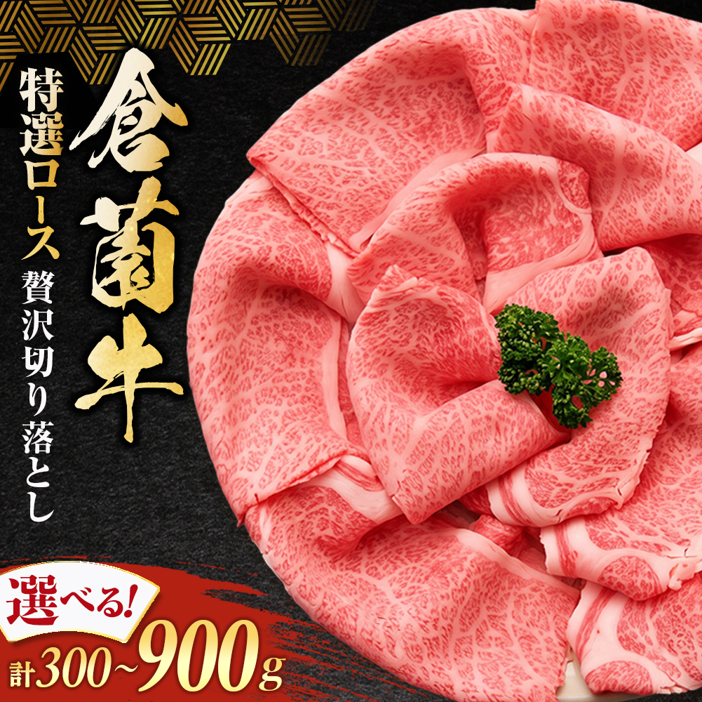 倉薗牛特選ロース贅沢切り落とし 300g (倉薗牛 宮崎牛 黒毛和牛 和牛 牛肉 国産牛 ブランド牛 特選ロース ロース肉 牛ロース 牛肉切り落とし)