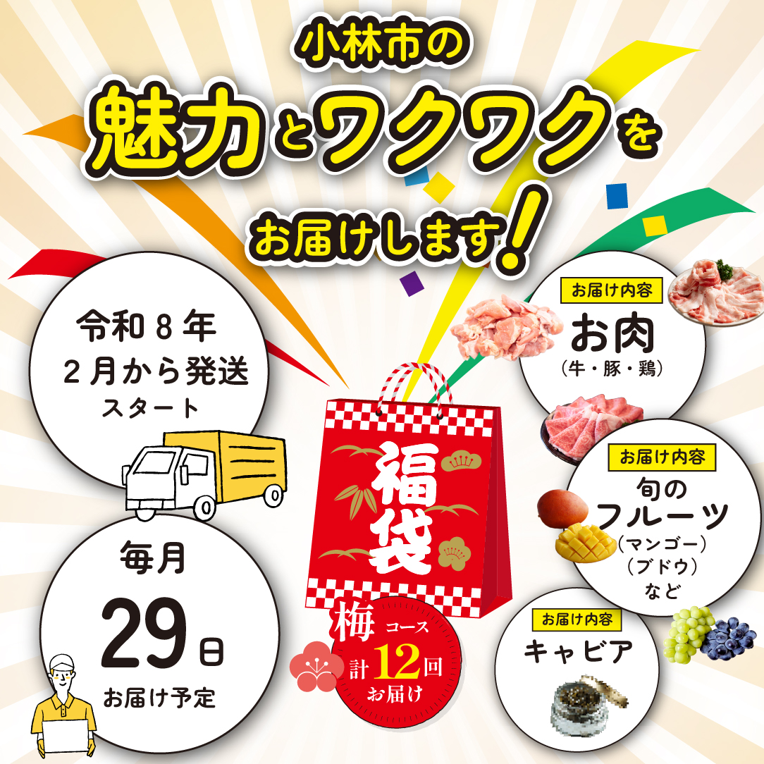 【定期便・全12回】新春おたのしみ 福袋 竹（牛肉 豚肉 鶏肉 果物 フルーツ 2026 限定 定期便 宮崎 小林市）