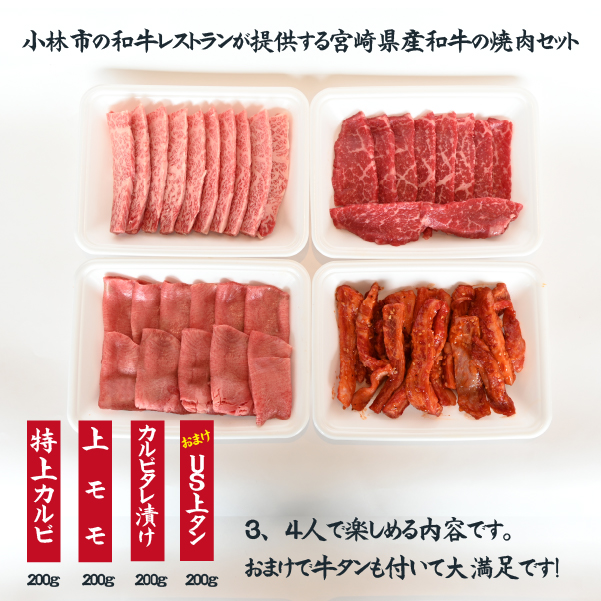 【BBQで大活躍！】宮崎県産和牛焼肉ファミリーセット 計800g（黒毛和牛 牛肉 お肉 タン モモ カルビ 焼肉 焼肉用）