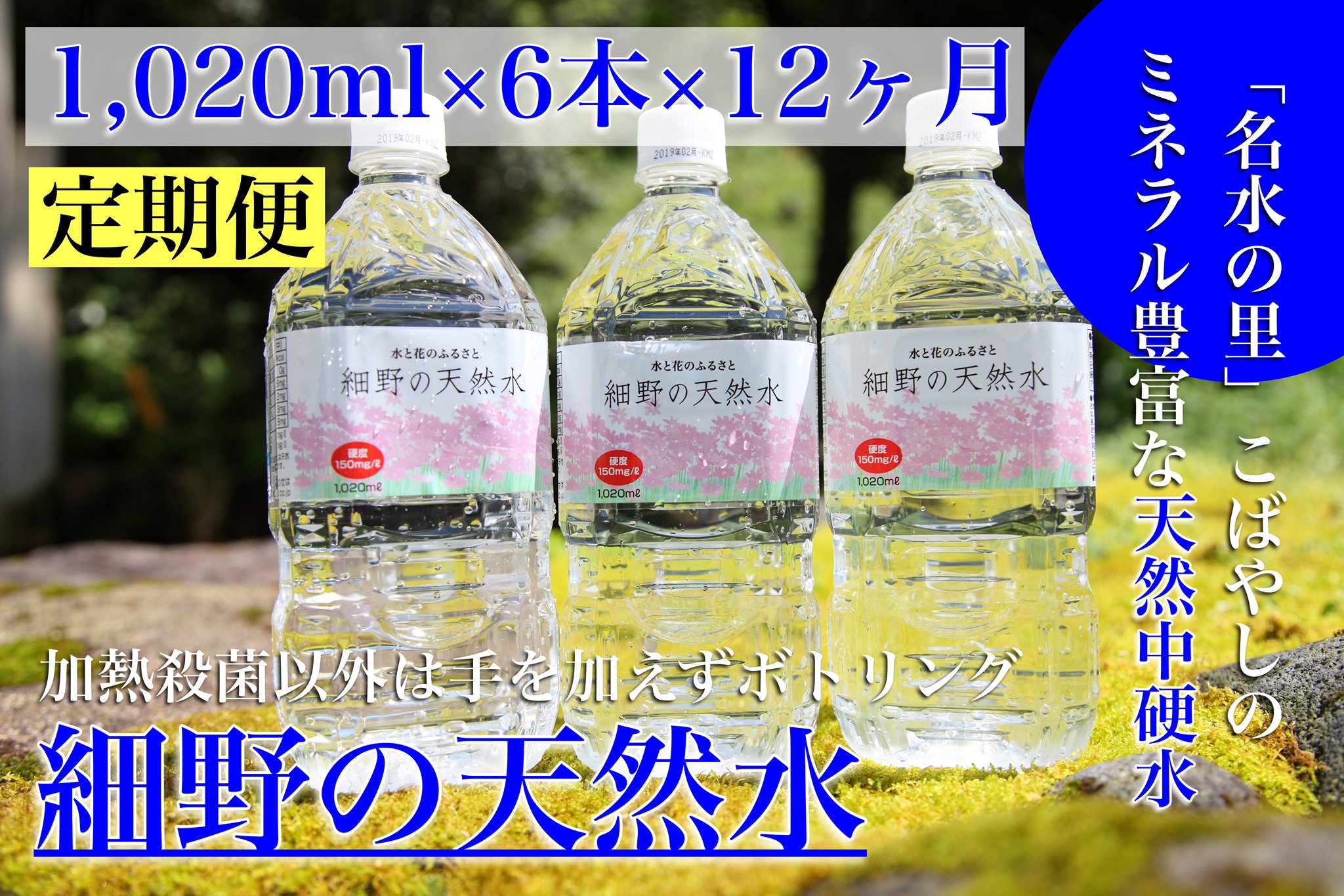 【定期便・霧島連山天然水 年12回】ミネラルたっぷり天然中硬水 細野の天然水1,020ml×12本×12回（国産 ナチュラルウォーター ミネラルウォーター 天然水 水 中硬水 シリカ 美容 人気 霧島 宮崎 小林市 送料無料）