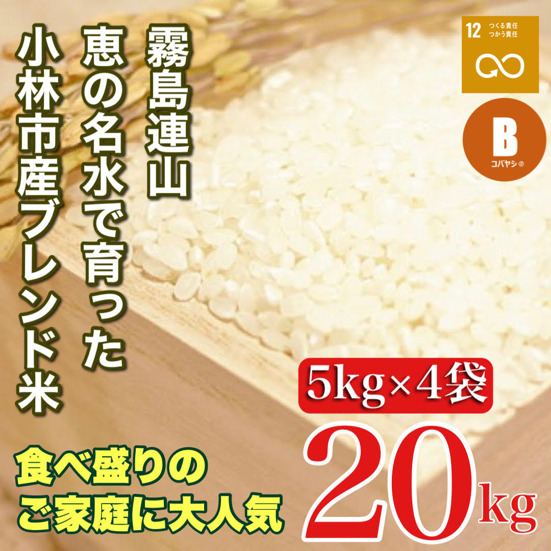 【生活応援米】湧水で育った小林市産ブレンド米 20kg（5kg×4袋 お米 米 ブレンド米 白米 精米 家庭用）