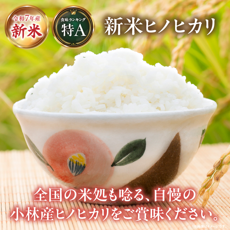 【令和7年産米】ヒノヒカリ 5kg×6回 お米 米 ヒノヒカリ ひのひかり 定期便 国産 人気 お弁当 おにぎり 宮崎県 小林市