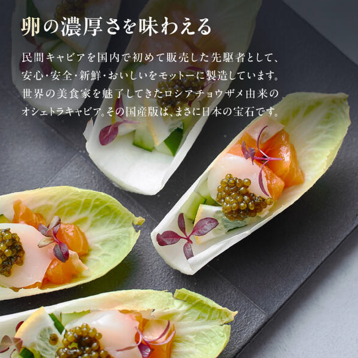 【純国産キャビア】オシェトラキャビア 40g（20g×2） 皇帝の涙 国産 チョウザメ キャビア 国産キャビア 魚卵 宮崎県