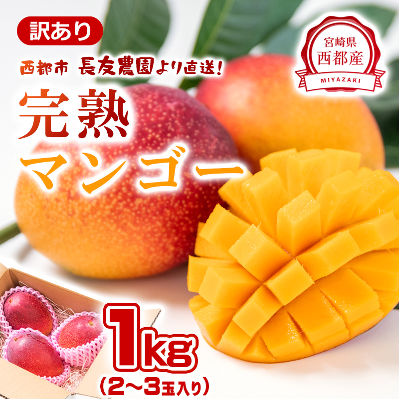 2027年発送【長友農園】訳あり家庭用完熟マンゴー合計1kg 2～3玉 宮崎県西都 産生産者直送【先行予約】＜46-1a＞