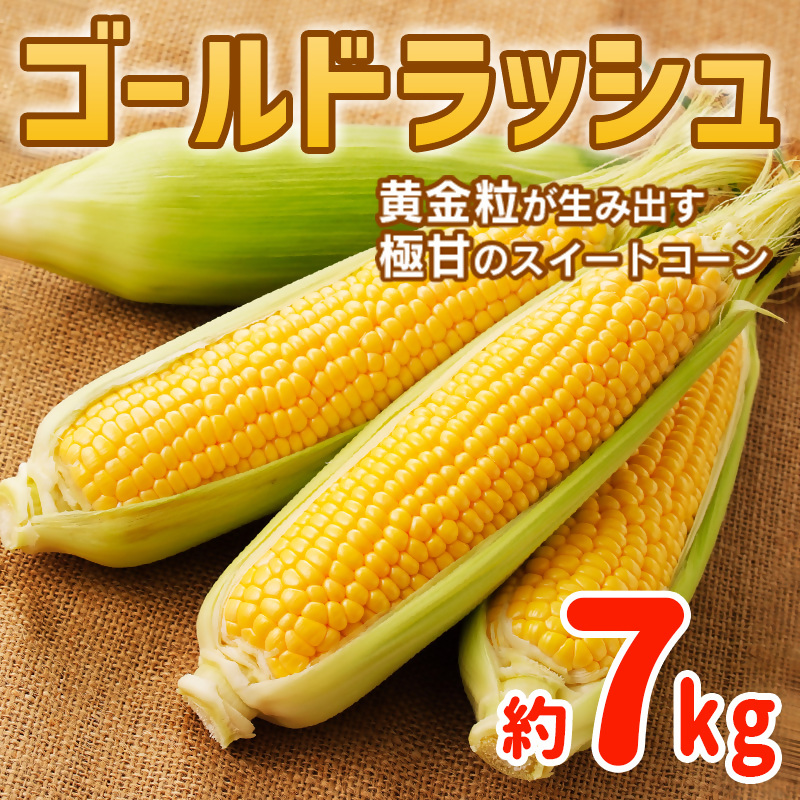2027年発送 井上農園のスイートコーン「ゴールドラッシュ」約7kg 西都市特産【先行予約】トウモロコシ とうもろこし＜18-21a＞