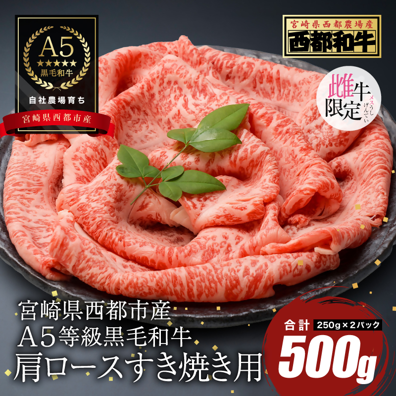 【雌牛限定！最高品質のA5等級 】厳選の黒毛和牛 肩ローススライス すき焼き 焼きしゃぶ500g （250ｇ×2）オレイン酸含有率55%以上 小分け 牛肉 国産 宮崎県産 西都市産【カミチクファーム・西都和牛】＜62-2a＞
