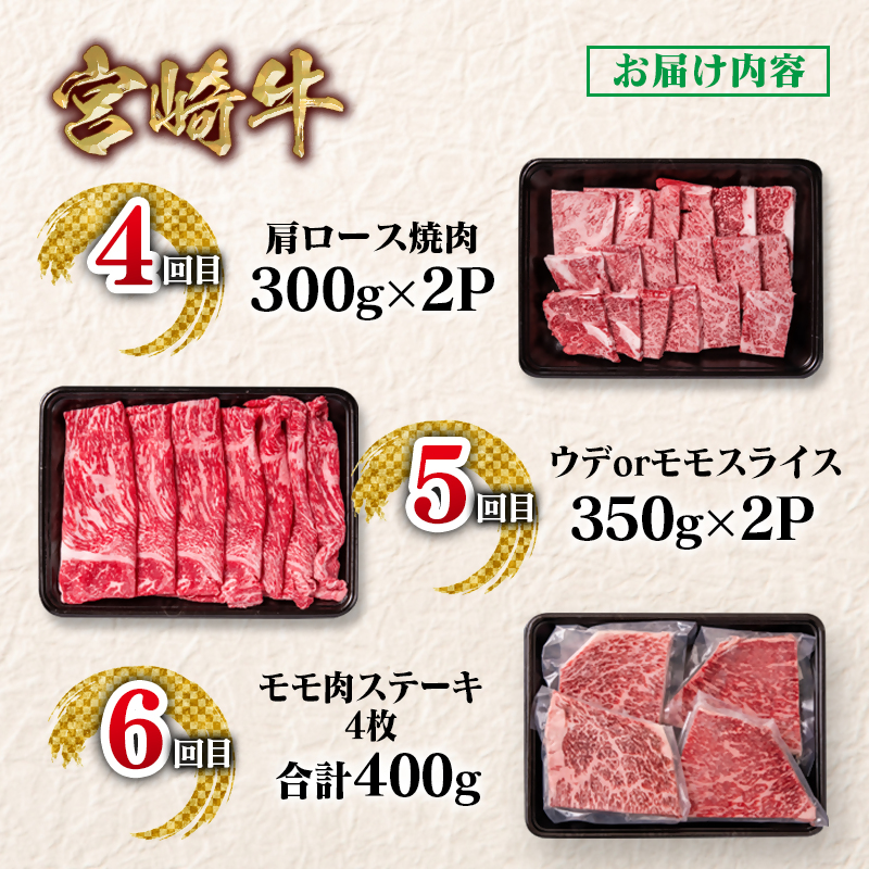 【定期便】宮崎牛 6回定期便  ブランド牛 A4～A5等級 内閣総理大臣賞4連覇＜58-47a＞