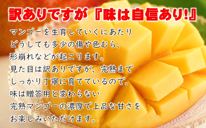 2027年発送【JA選果】訳ありご家庭用 完熟マンゴー 約1kg 糖度12度以上 3～4玉入り【先行予約】西都産＜2-3a＞