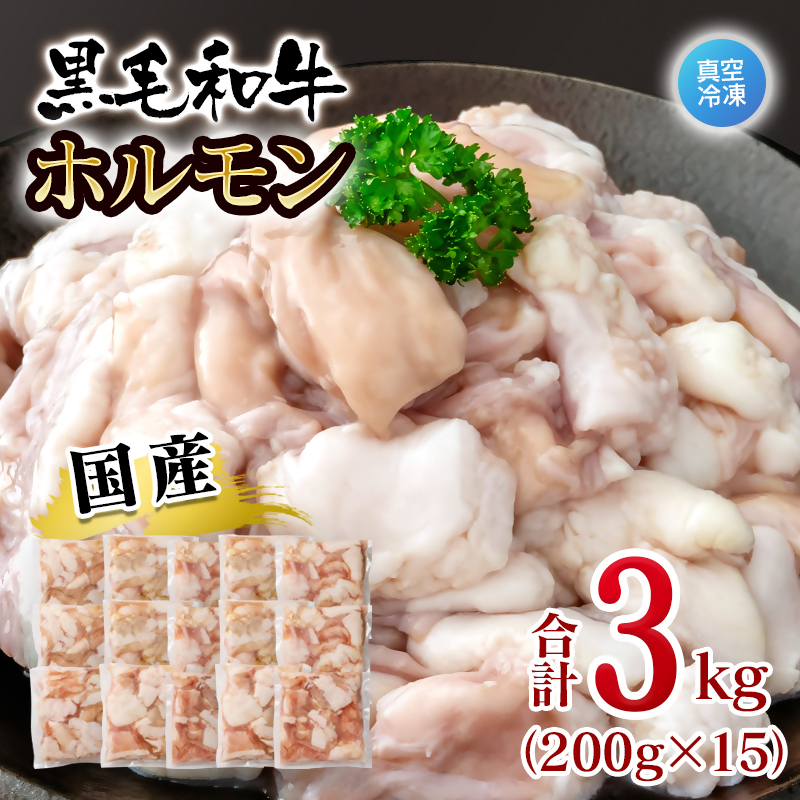 黒毛和牛ホルモン 3kg 小分け200g×15 国産牛肉 焼肉 焼き肉 もつ 真空パック＜58-70a＞