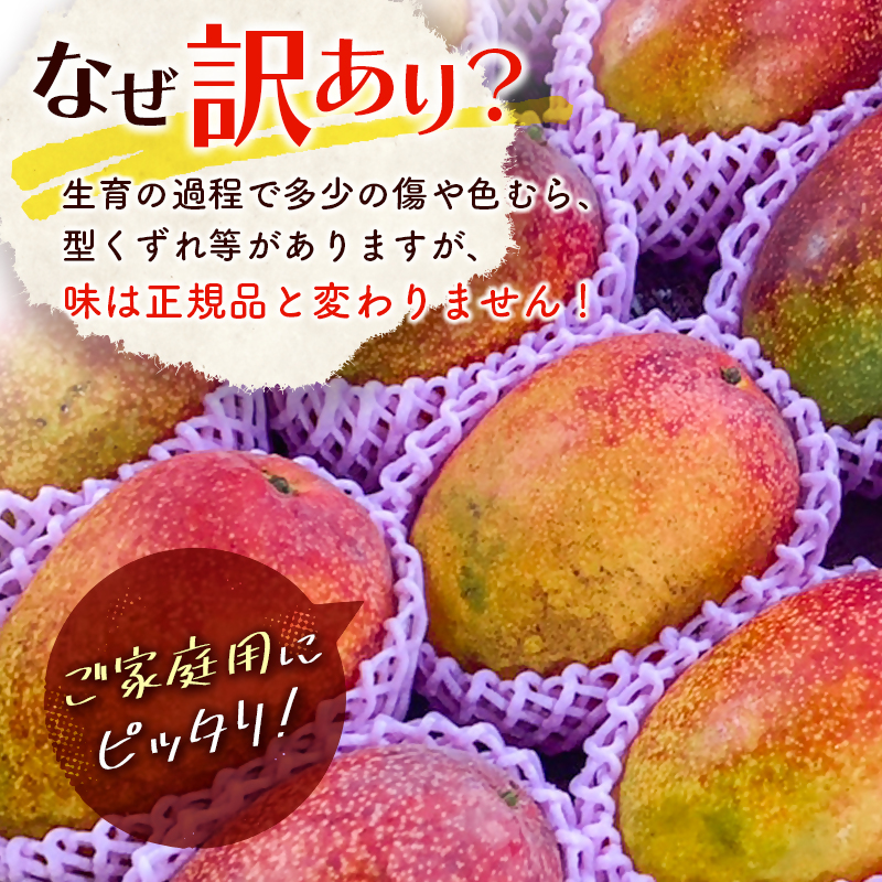 2027年発送 訳あり「ご家庭用」宮崎県西都市産完熟マンゴー2kg 先行予約＜18-11a＞