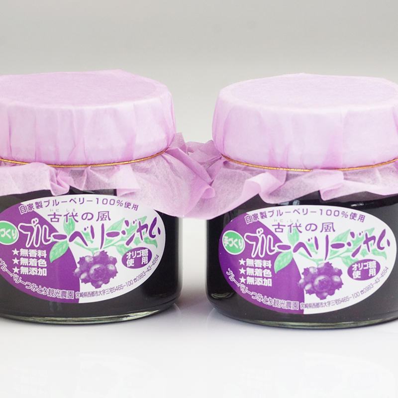【添加物・保存料不使用】無農薬ブルーベリージャム Big  260g×2個 『古代の風』毎日の健康に！＜23-14a＞