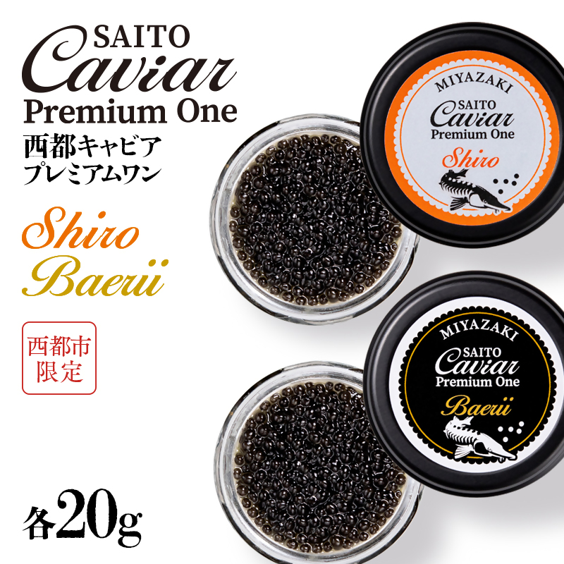 SAITO CAVIAR PREMIUM ONE SHIRO 20g・BAERII20g  キャビア 西都市オリジナル ＜25-18a＞