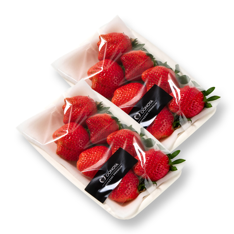 苺大野屋 やよいひめ 厳選いちご 250g×2パック 合計500g 宮崎県西都市【先行予約】 ＜28-4a＞