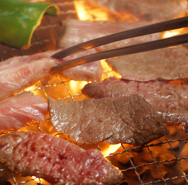 黒毛和牛「宮崎和牛 齋藤牛」 焼肉＆ホルモン ファミリーセット 合計900g＜5-10a＞
