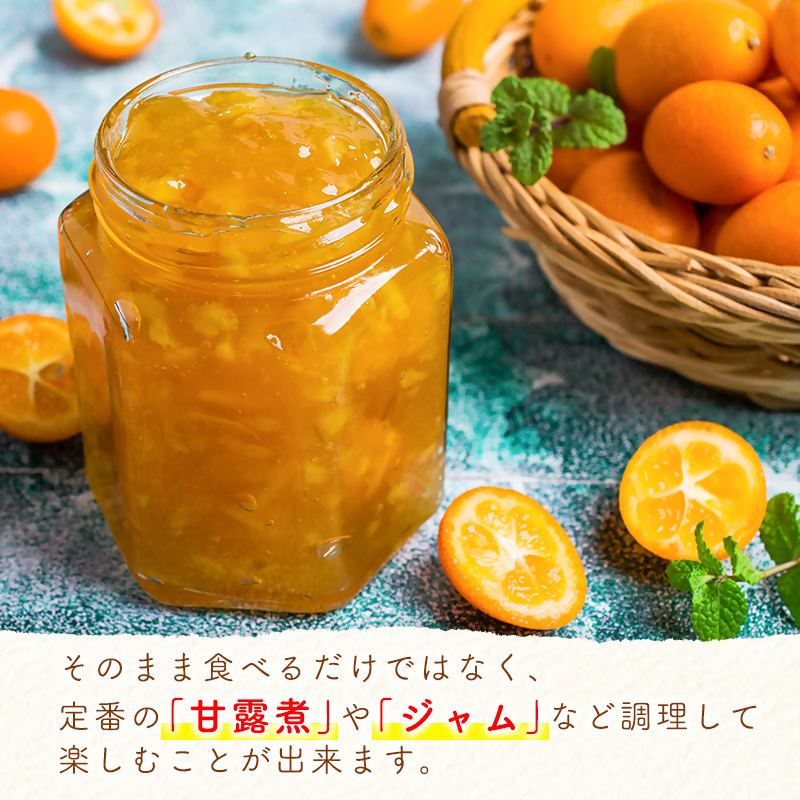 2027年発送 宮崎県西都市産 完熟金柑 きんかん1kg（3L～L）西都市特産品 先行予約＜18-7a＞
