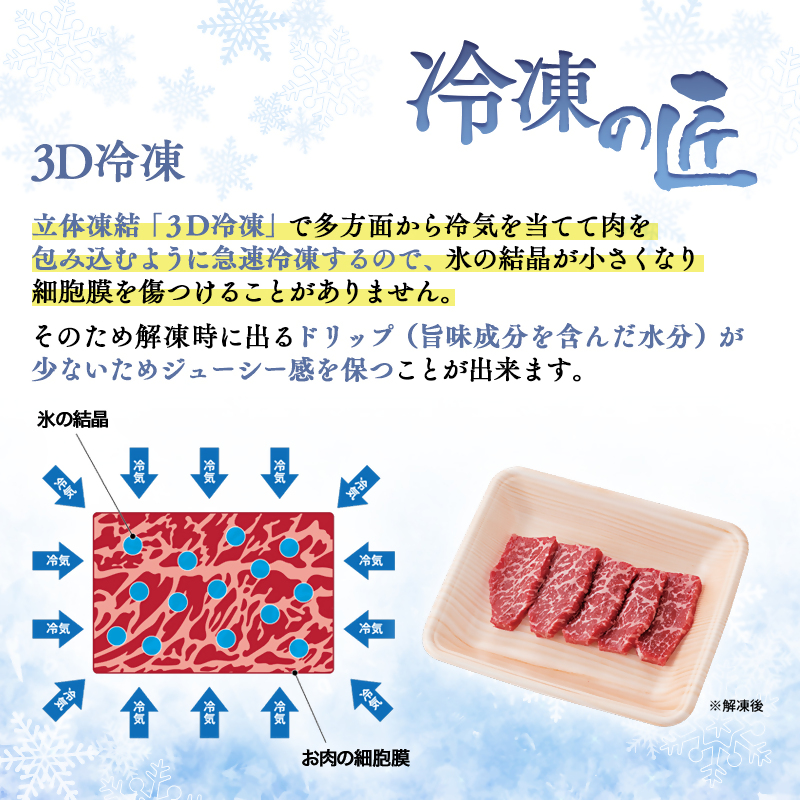 宮崎牛＆宮崎県産豚肉 焼肉10種盛り 食べ比べセット計600g  4等級以上 内閣総理大臣賞4連覇＜47-3b＞