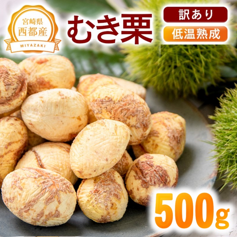 【訳あり】低温熟成栗 国産むき栗 500g 糖度2～3倍  西都市産くり 栗  国産 生栗 果物 フルーツ 栗きんとん スイーツに【先行予約】＜49-3a＞
