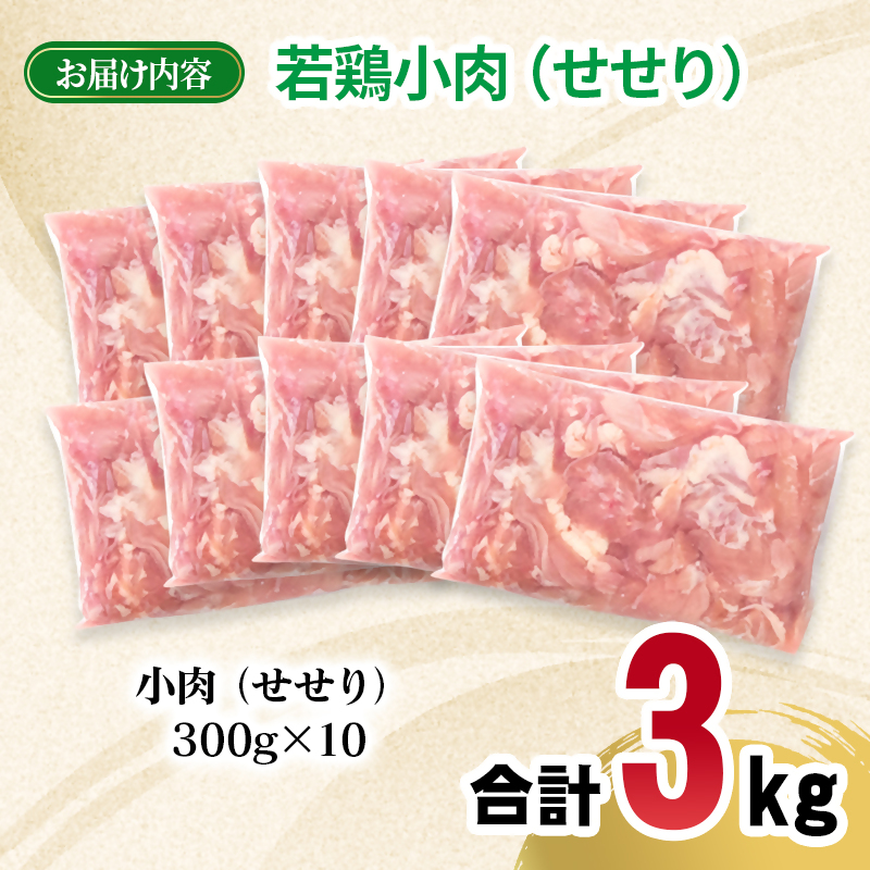 宮崎県産若鶏 小肉（せせり）セセリ 3kg 小分け 300g ×10パック とり肉 国産 焼肉＜70-14a＞