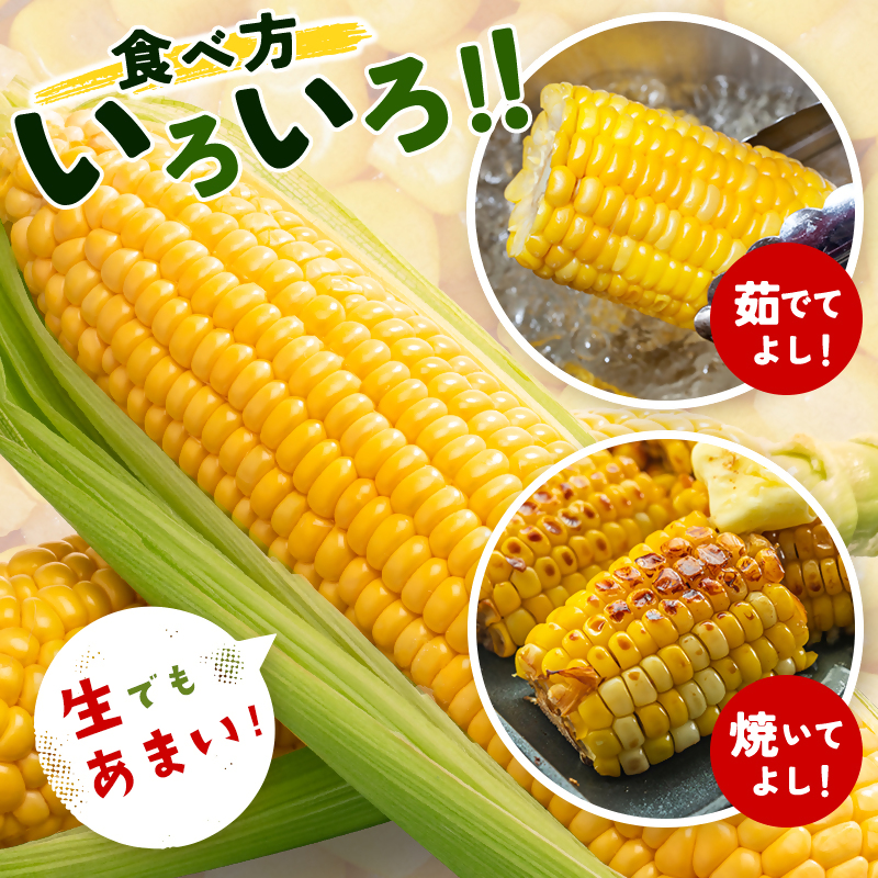 2027年発送 初夏の味覚 !スイートコーン【ゴールドラッシュ】18～22本 約7kg 西都市特産【先行予約】トウモロコシ とうもろこし＜18-2a＞