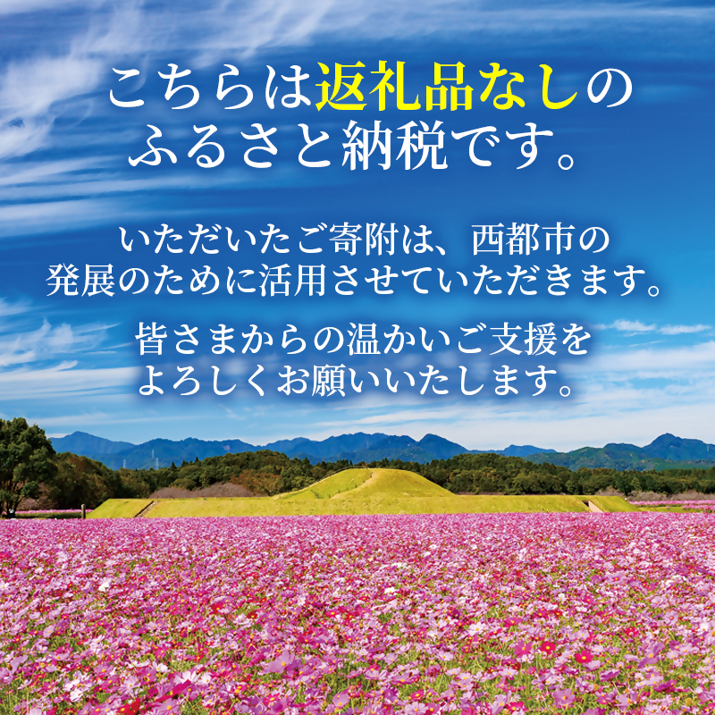 宮崎県西都市 寄附のみの応援受付　5,000円（お礼品なし）＜1-15a＞