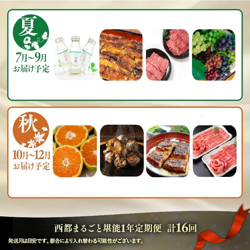 2027年発送【季節の定期便】12ヶ月毎月届く 西都まるごと堪能セット16品お届け！【プラチナコース】先行予約 Eコース 完熟マンゴー 宮崎牛 うなぎ 牛肉 豚肉 鶏肉 もつ鍋 スイートコーン いちご トマト＜1-5a＞