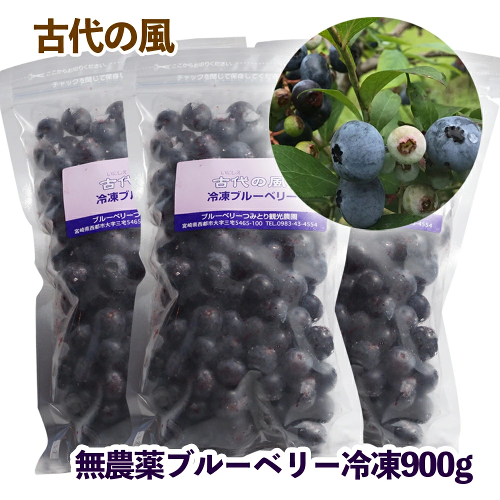 毎日の健康に！冷凍 無農薬ブルーベリー900g 小分け300g×3『古代の風』＜23-9a＞