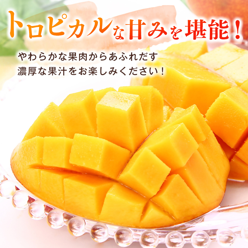 2027年発送 宮崎県西都市産完熟マンゴー2L×2個 西都市特産品 宮崎マンゴー 先行予約＜18-5a＞