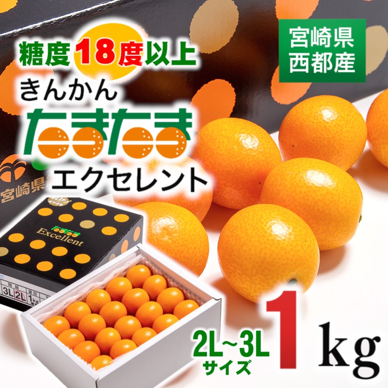 糖度18度以上の宮崎金柑の最高級ブランド『完熟きんかんたまたまエクセレント』1kg  2L～3Lサイズ 西都市産【先行予約】＜2-7a＞
