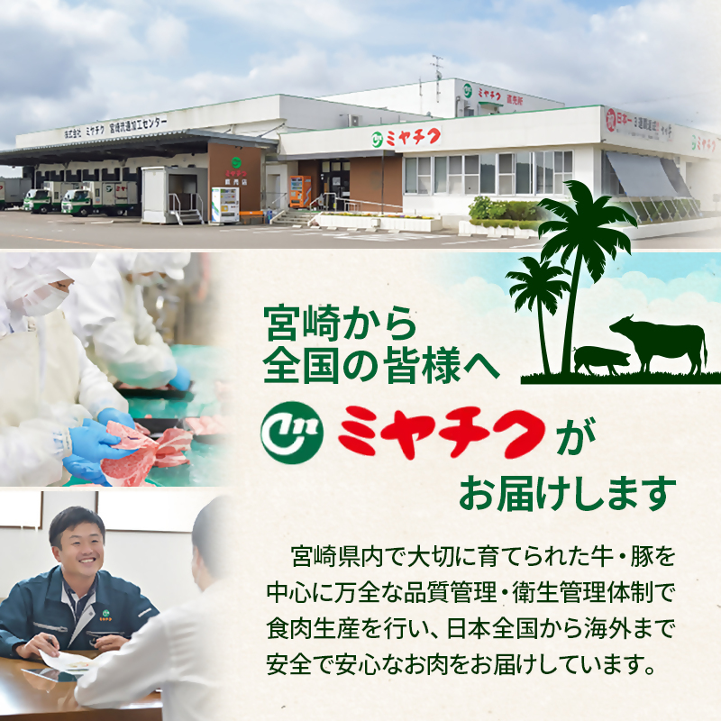 宮崎牛 赤身スライス600g  A4～A5等級 ミヤチク＜47-6b＞