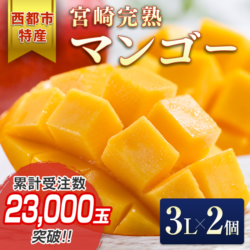 2027年発送 宮崎県産完熟マンゴー3L×2個 西都市特産品 宮崎マンゴー 先行予約＜18-3b＞