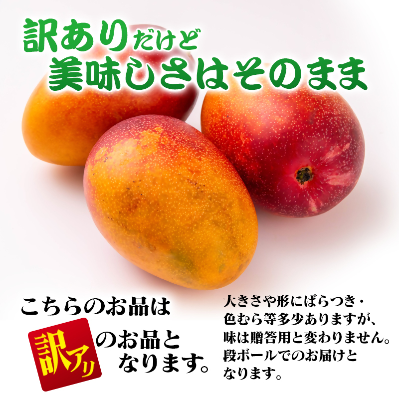 2027年発送【マンゴー専門 山下果樹園】ご家庭用完熟マンゴー 1kg 3～5個 生産者直送【先行予約】＜61-1a＞